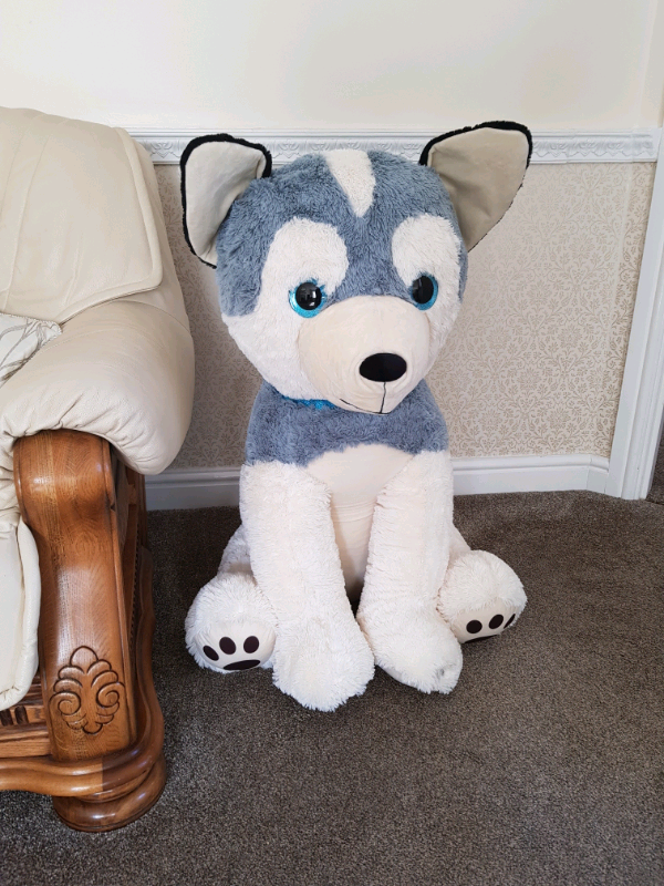 giant husky teddy